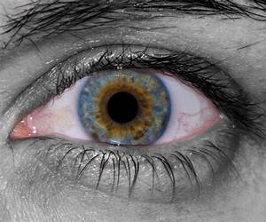 Sanguine Eyes (Salt Lake After Dark, #3)