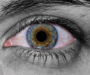 Sanguine Eyes (Salt Lake After Dark, #3) Sanguine Eyes (Salt Lake After Dark, #3)