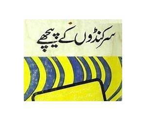 Sarkandon Ke Peeche / سرکنڈوں کے پیچھے