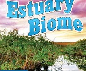 Seasons Of The Estuary Biome (Biomes)