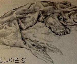 Selkies' Skins (Selkies' Skins, #1) Selkies' Skins (Selkies' Skins, #1)