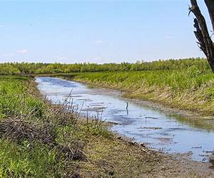 Shallow Creek