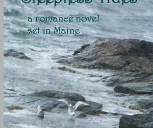 Sleepless Tides Sleepless Tides