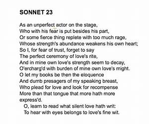 Sonnet 23