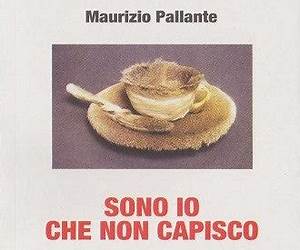 Sono io che non capisco. Riflessioni sull'arte contemporanea di un obiettore alla crescita Sono io che non capisco. Riflessioni sull'arte contemporanea di un obiettore alla crescita