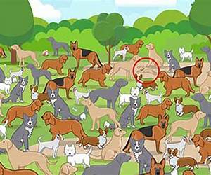 Spot the Puppy in the City
