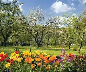 Spring (Science Kids Seasons)