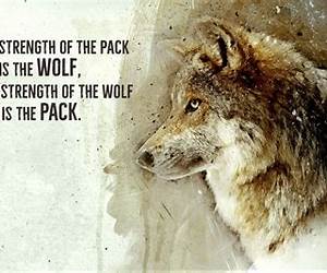 Strength of the Wolf (The Tameness of the Wolf, #2)
