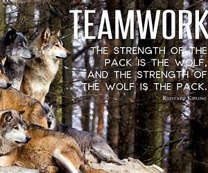 Strength of the Wolf (The Tameness of the Wolf, #2)