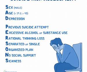 Suicide Risk, Vol. 2