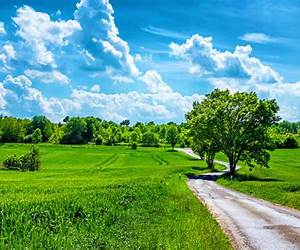 Summer Day Summer Day