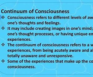 The Continuum of Consciousness: Aesthetic Experience and Visual Art in Henry James’s Novels (American University Studies) The Continuum of Consciousness: Aesthetic Experience and Visual Art in Henry James’s Novels (American University Studies)