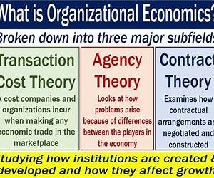 The Economic Organization