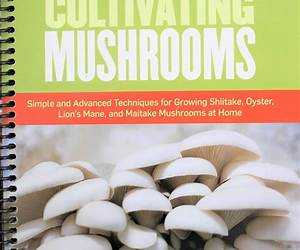 The Essential Guide to Cultivating Mushrooms: Simple and Advanced Techniques for Growing Shiitake, Oyster, Lions Mane, and Maitake Mushrooms at Home