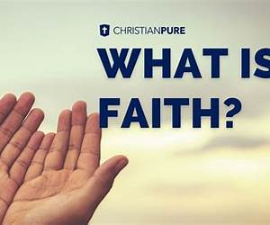 The Faith (The Faith 1) The Faith (The Faith 1)