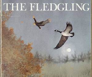 The Fledgling (Elf Gate Series, #2) The Fledgling (Elf Gate Series, #2)