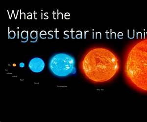 The Greatest Star on Earth (Three-Ring Rascals, # 2)