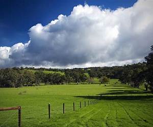 The Green Hills of Home
