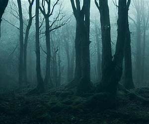 The Haunting of Black Forest