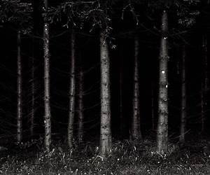 The Haunting of Black Forest The Haunting of Black Forest