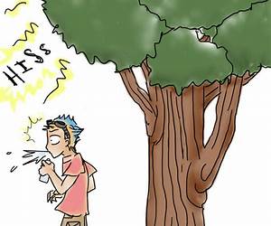 The Hissing Tree