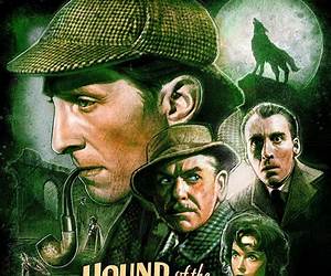 The Hound of the Baskervilles (Sherlock Holmes Graphic Novels Adaptation #1)