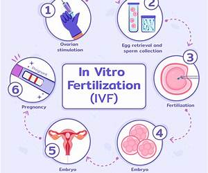 The IVF (In Vitro Fertilization) Journal: The Solution for Managing Practitioners, Tests, Medications, Appointments, Procedures, Finances, and the Emotional Aspects of Your Journey