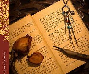 The Journals of Geetanjali Rao
