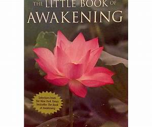 The Little Book of Awakening