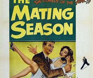 The Mating Season (The Mating Season #1)