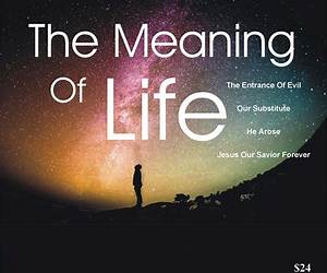 The Meaning of Life: Conversations On Love, Beliefs, Morality, Grief and Everything in Between