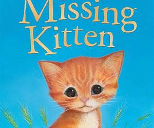 The Missing Kitten (Kitten Mysteries, #1) The Missing Kitten (Kitten Mysteries, #1)