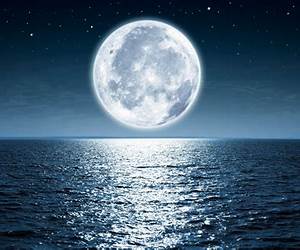 The Moon Under Water