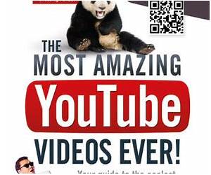 The Most Amazing YouTube Videos Ever!