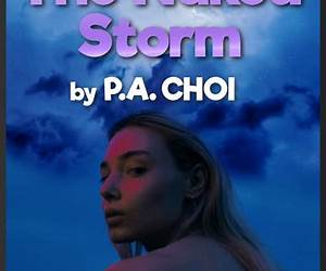 The Naked Storm