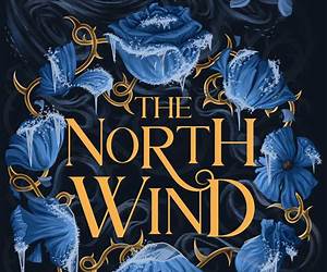 The North Wind: Book 2 of the Tin Train series