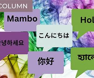 The Other Language