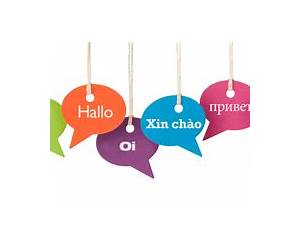 The Other Language The Other Language