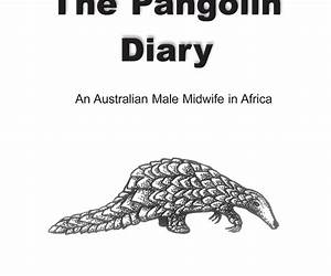 The Pangolin Diary: An Australian Male Midwife in Africa (Abkhazian Edition)
