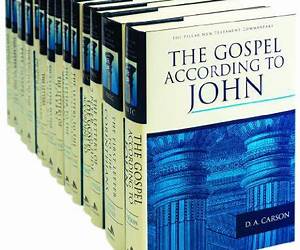 The Pillar New Testmament Commentary (14 Volumes) The Pillar New Testmament Commentary (14 Volumes)