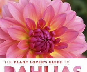 The Plant Lover's Guide to Dahlias (The Plant Lover’s Guides) The Plant Lover's Guide to Dahlias (The Plant Lover’s Guides)