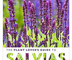 The Plant Lover