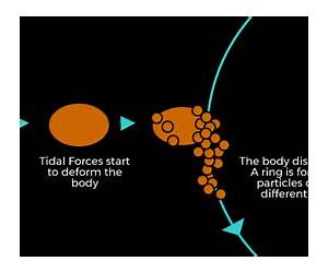 The Roche Limit