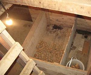 The Root Cellar and Other Stories (Bloody Parchment)
