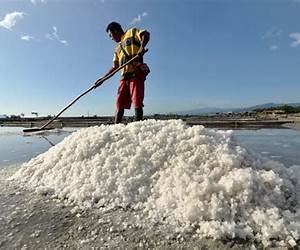 The Salt Factory