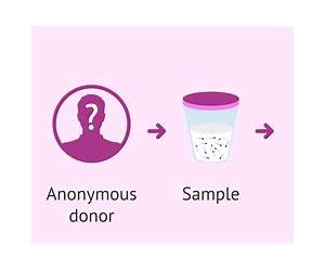 The Sperm Donor The Sperm Donor
