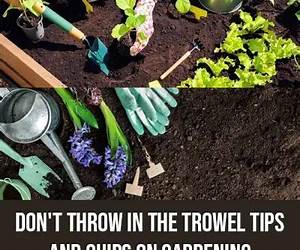 Throw in the Trowel (A Flower Shop Mystery, #15)