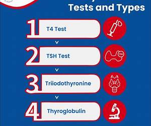 Thyroid Function Testing (Endocrine Updates Book 28)