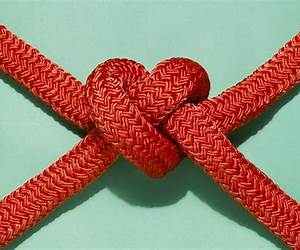Tie the Knot