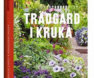 Trädgård i kruka